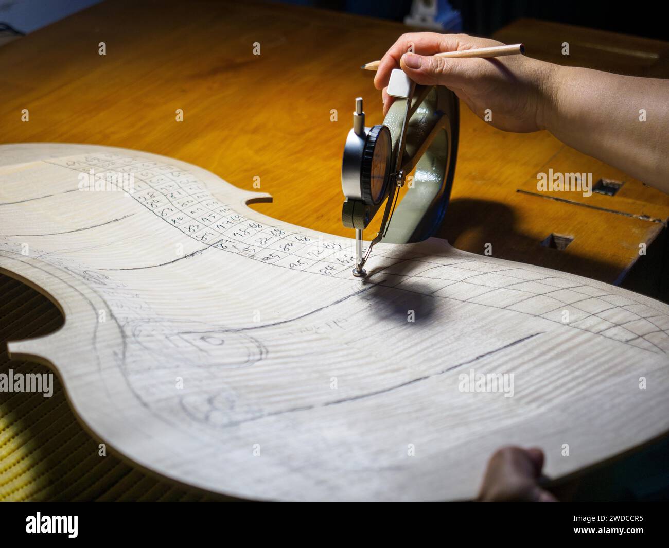 Close up of Stringed instrument maker master luthier hand proceed with