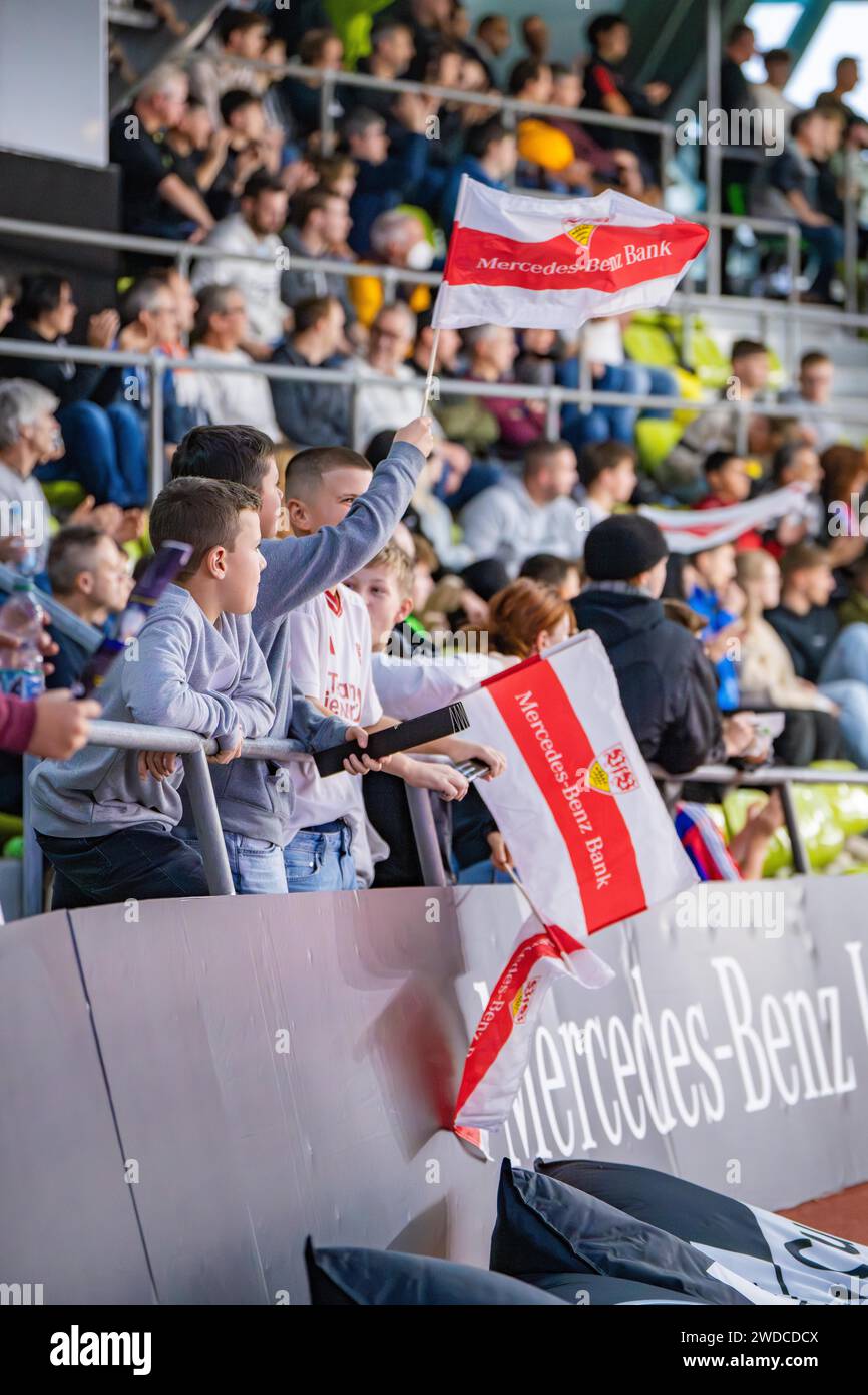 Young Football Fans Cheer With Flags In The Stands, Mercedes Benz ...