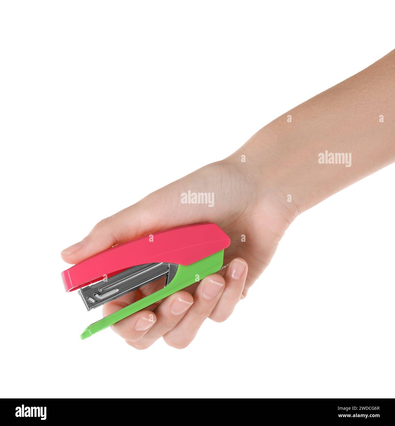 Woman holding bright stapler on white background, closeup Stock Photo ...