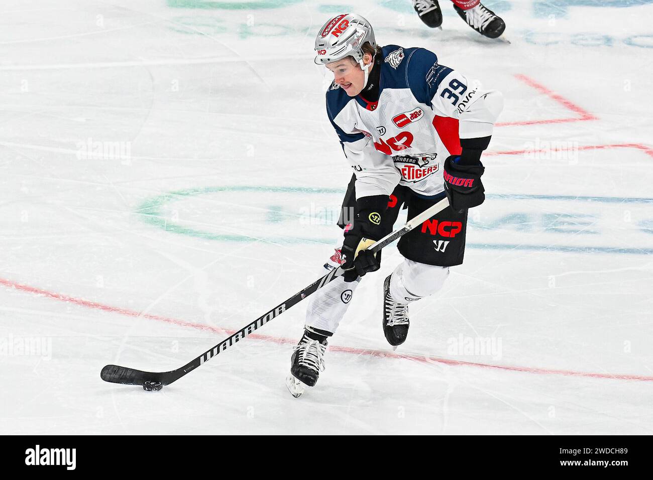 Eishockey DEL - 39. Spieltag: Düsseldorfer EG vs Nürnberg Ice Tigers am