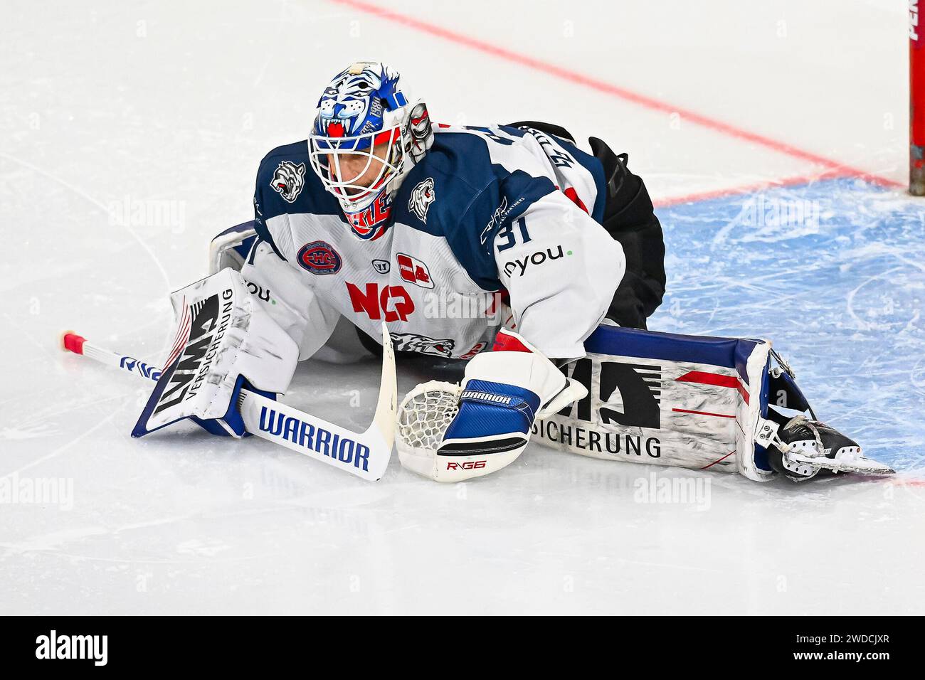 Eishockey DEL - 39. Spieltag: Düsseldorfer EG vs Nürnberg Ice Tigers am 19.01.2024 im PSD Bank Dome in Düsseldorf Nürnbergs Torhüter Niklas Treutle (Nr.31) mit Dehnungsübungen Foto: osnapix Stock Photo