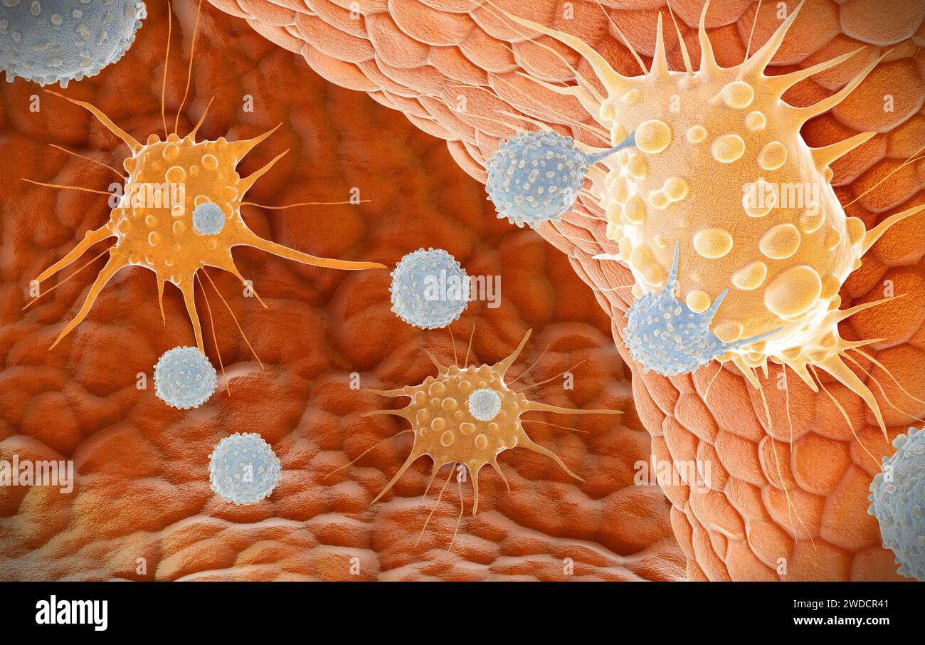 t cells and natural killer cells