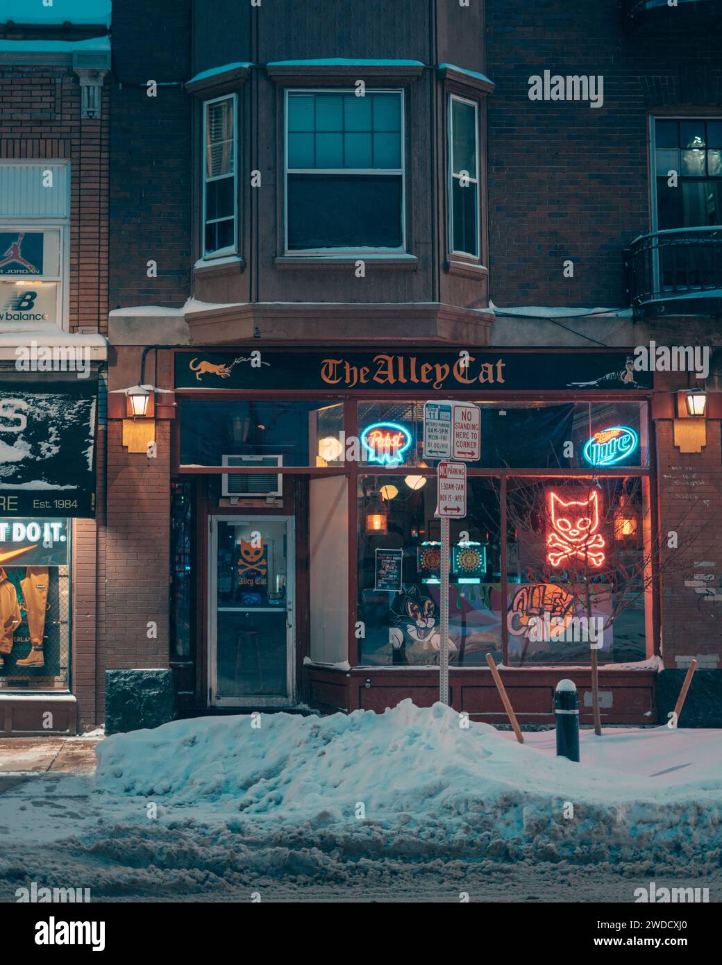 The Alley Cat bar at night in Allentown in Buffalo, New York Stock ...