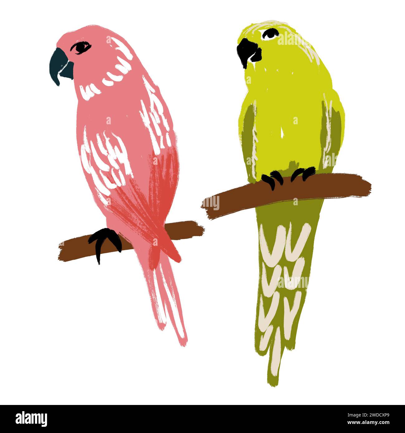 Hand drawn modern illustration of macaw long-tailed colorful parrot