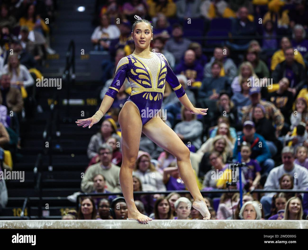 Baton Rouge, LA, USA. 19th Jan, 2024. LSU's Aleah Finnegan competes on ...