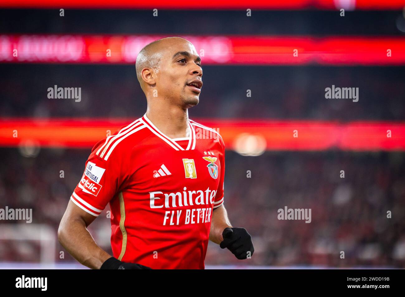 João Palhinha Addresses Alvalade Jeers After Benfica Transfer João Palhinha Addresses Alvalade Jeers After Benfica Transfer