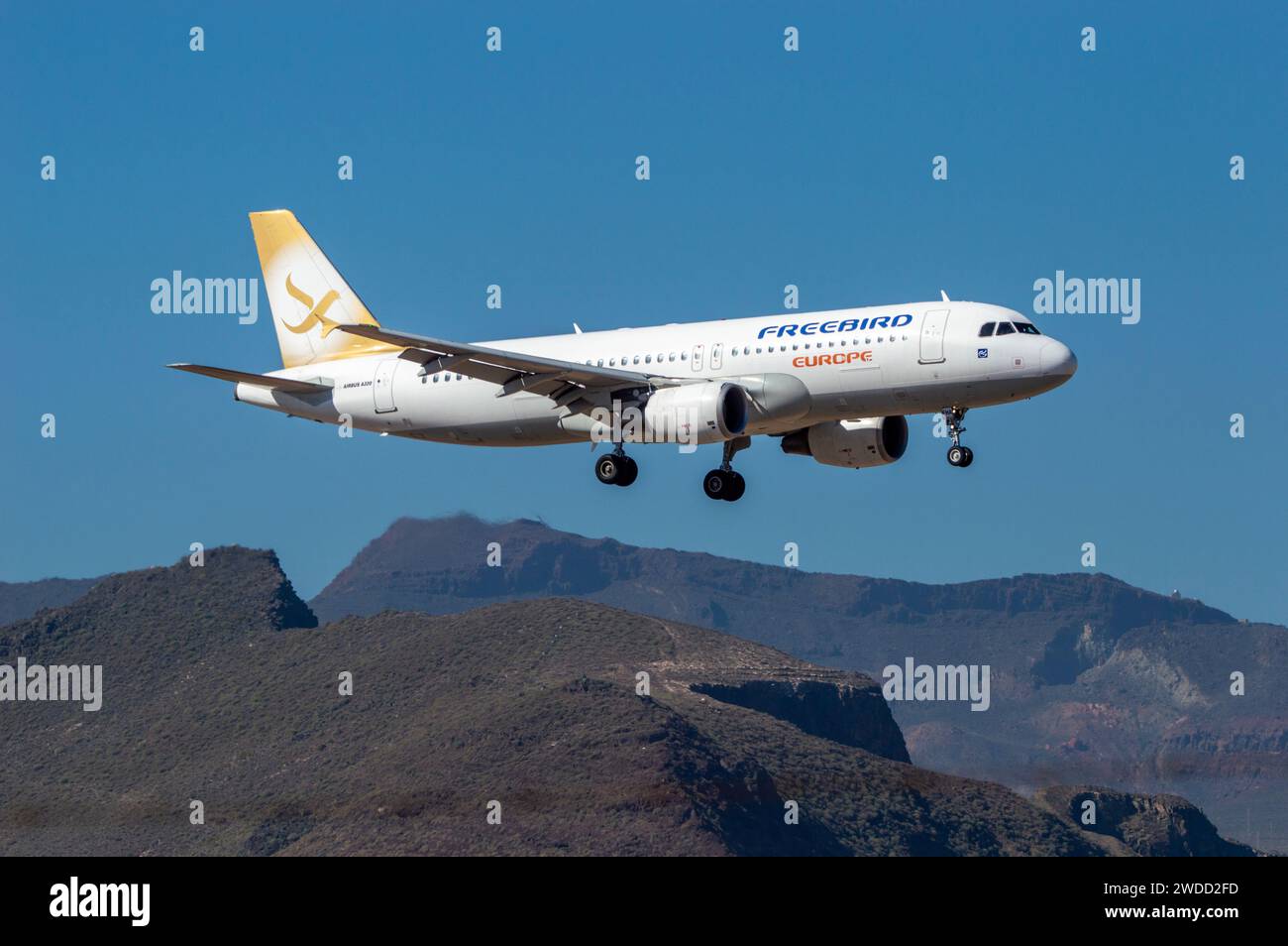 Airbus A320 airliner of the airline Freebird Airlines Europe Stock Photo