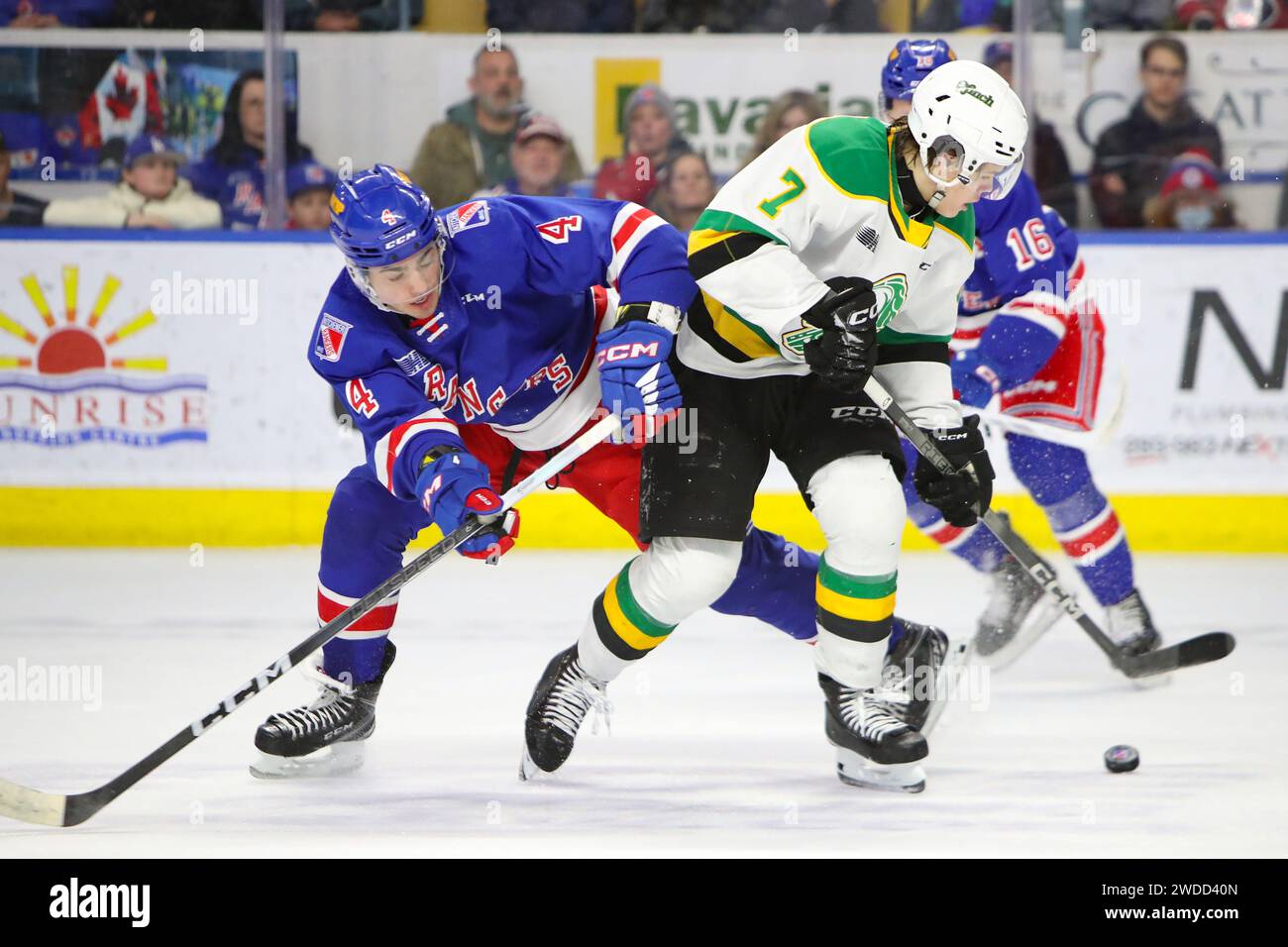 Barrie, Canada. 19th Jan, 2024. Kitchener Ontario Canada, Jan 19 2024, The London Knights extend their winning streak to 13 games with a win over Kitchener. Easton Cowan(7)of the London Knights. (Editorial Only) Credit: Luke Durda/Alamy Live News Stock Photo