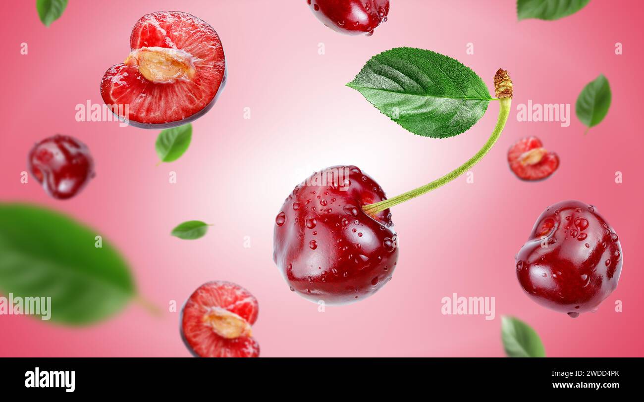 red cherry with water drops flying in the air stream on pink background Stock Photo