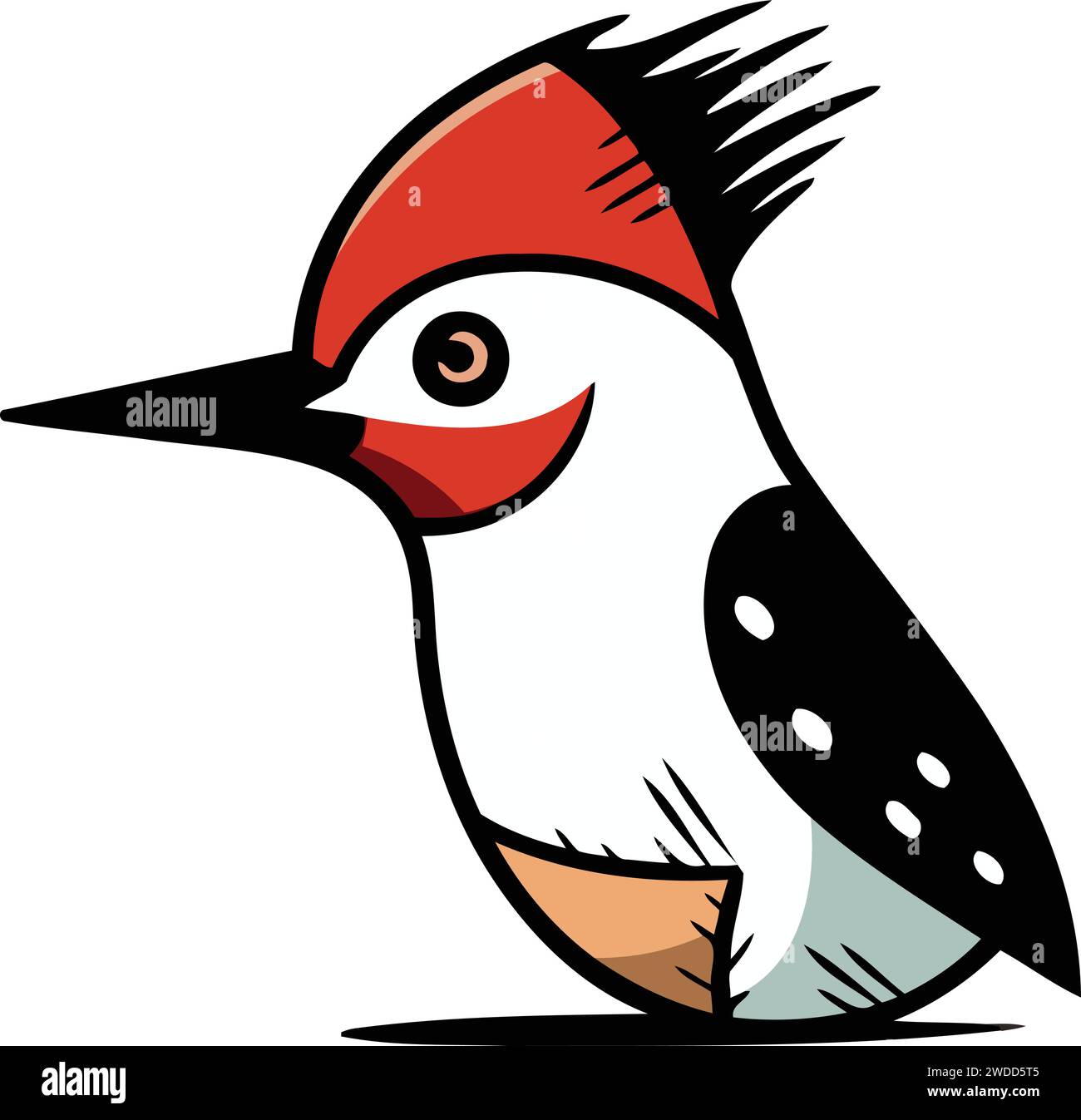 Cute Woodpecker isolated on white background. Vector illustration Stock