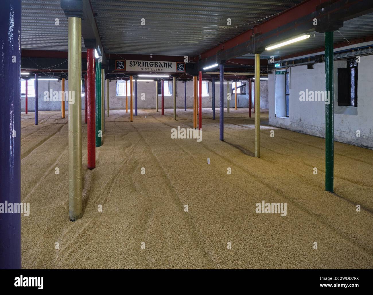 Malting Floor, Springbank Distillery, Campbeltown, Kintyre, Scotland Stock Photo