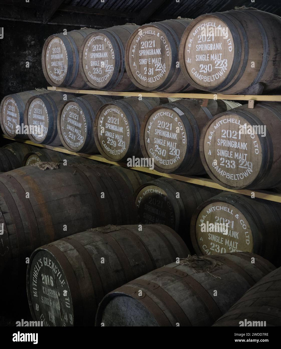 Whisky Casks, Springbank Distillery, Campbeltown, Kintyre, Scotland Stock Photo
