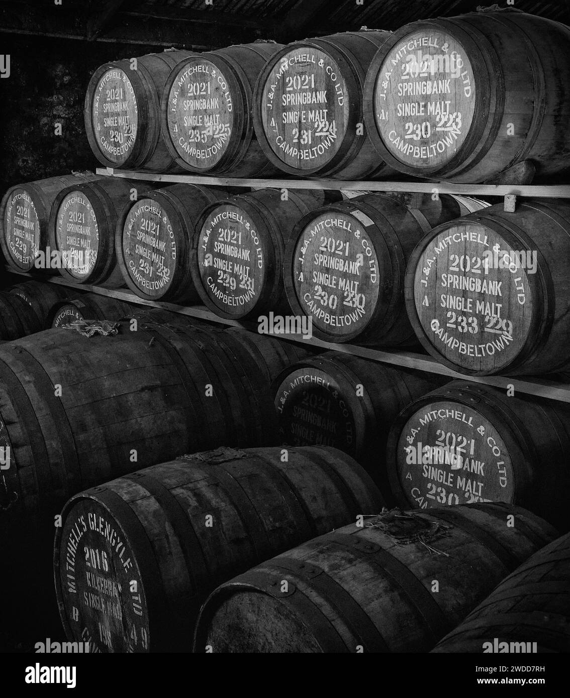 Whisky Casks, Springbank Distillery, Campbeltown, Kintyre, Scotland Stock Photo