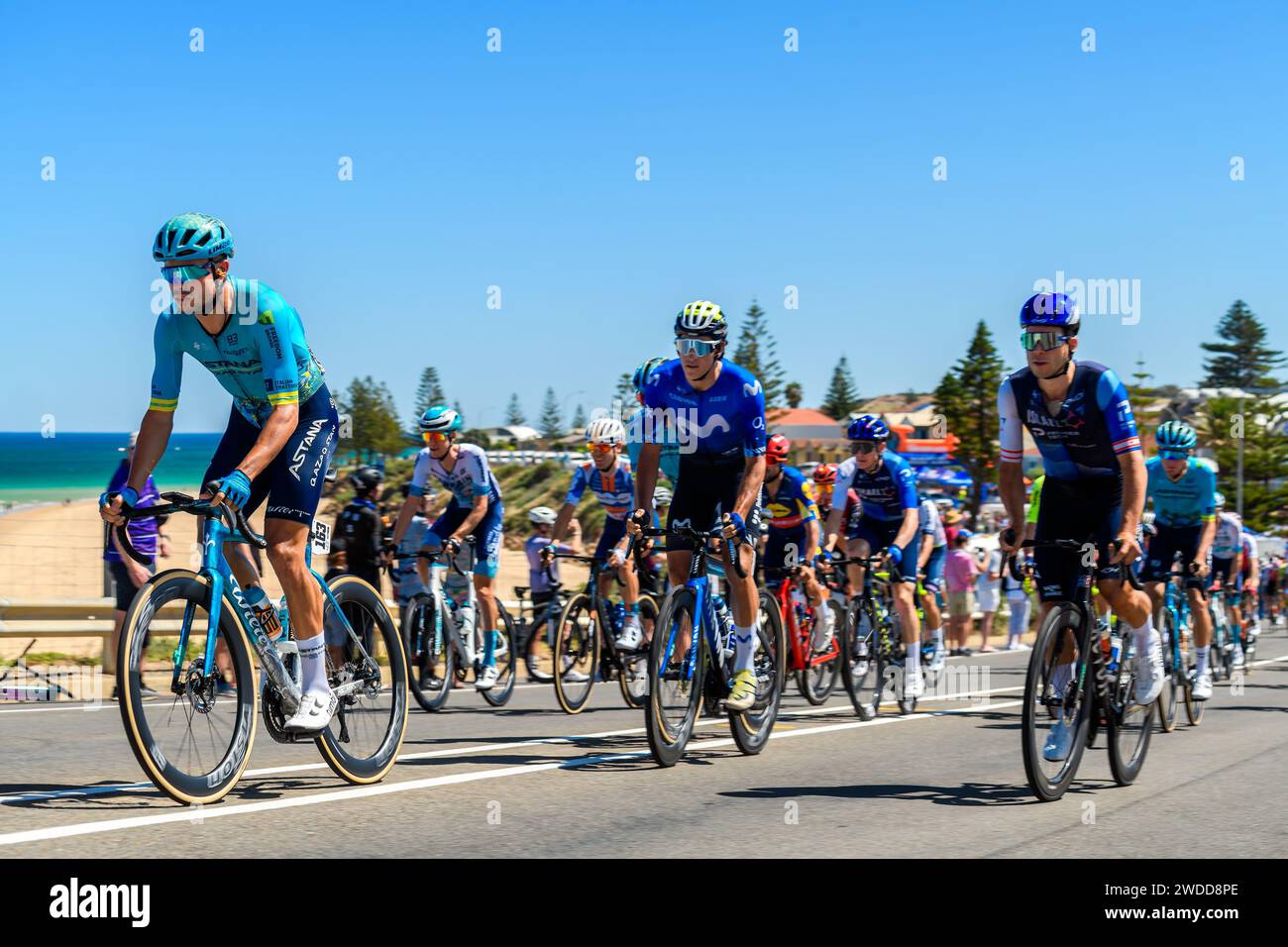 Adelaide, South Australia January 20, 2025 Santos Tour Down Under race THINK! Road Safety Men