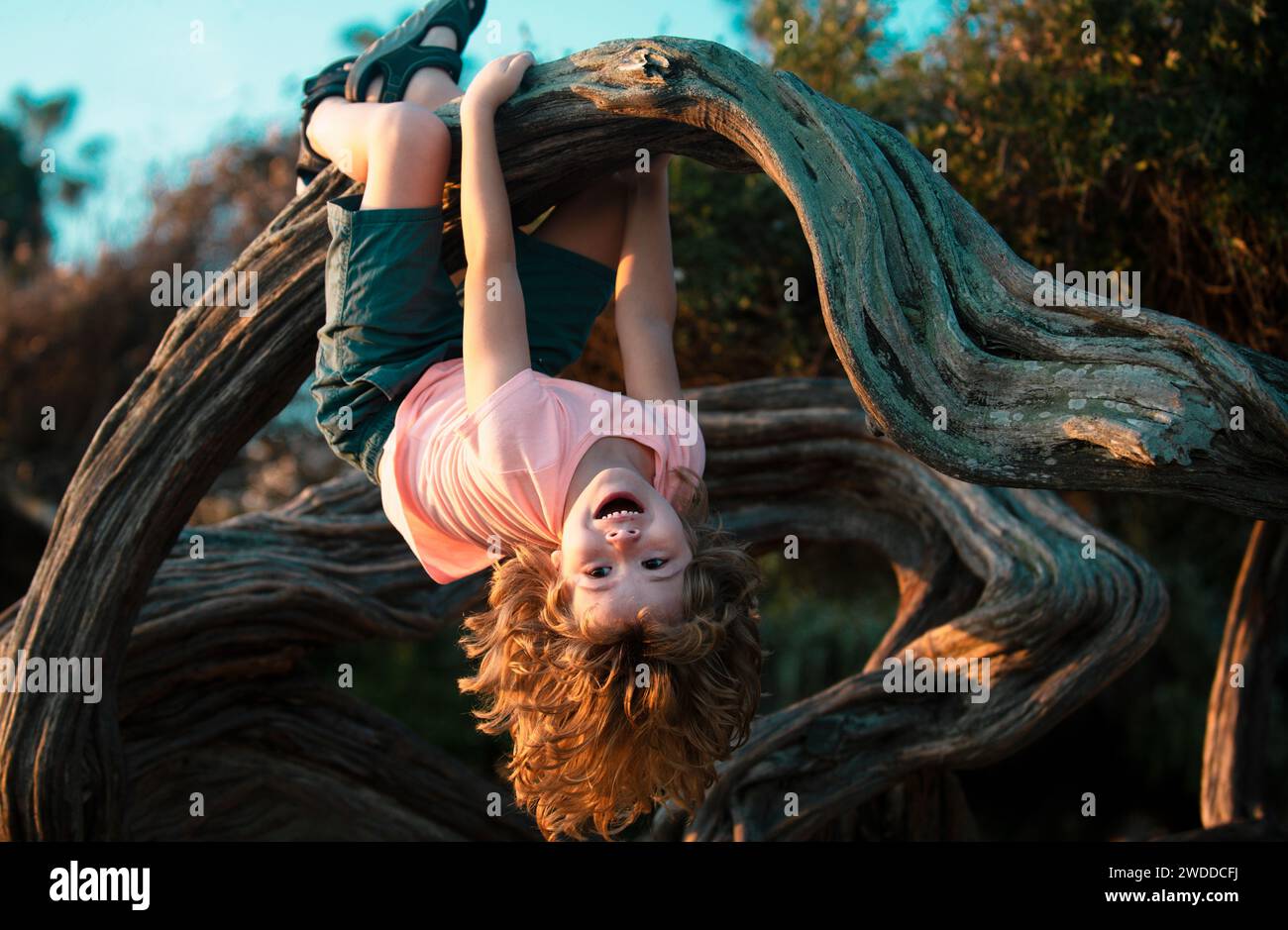 Funny cute boy hanging from branch of tree. Summer time. Stock Photo