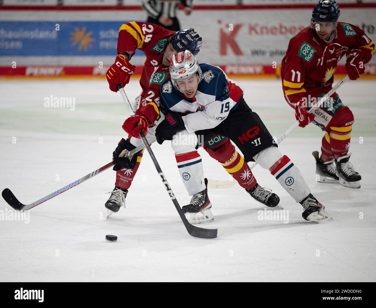 # Duesseldorfer EG vs. Nuernberg Ice Tigers, Eishockey, Penny DEL, 39. Spieltag, Saison 2023/2024, 19.01.2024 Foto: Eibner-Pressefoto/Thomas Haesler Stock Photo