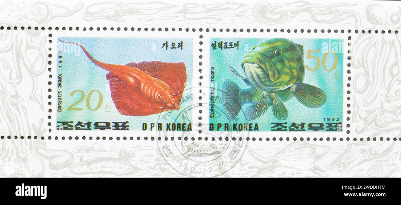 Souvenir Sheet with cancelled postage stamps printed by North Korea, that show Dasyatis akajei and Epinephelus moara, circa 1993. Stock Photo