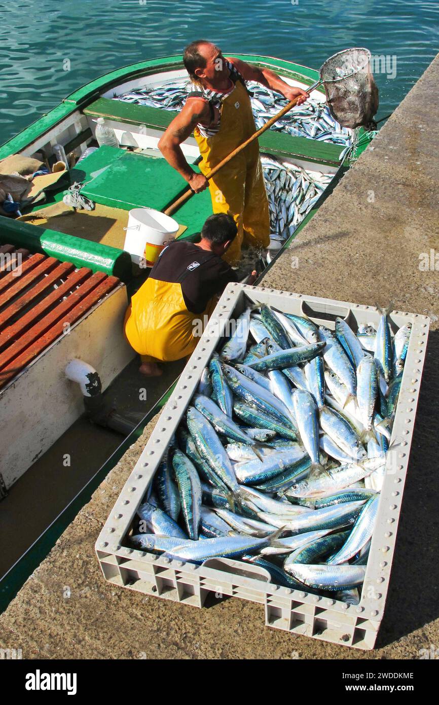Fischerboot mit Sardinen wird entladen - gesehen in Morro Jable auf Fuerteventura Süd am 17.01.2012. *** Fishing boat with sardines being unloaded seen in Morro Jable on Fuerteventura South on 17 01 2012 Stock Photo