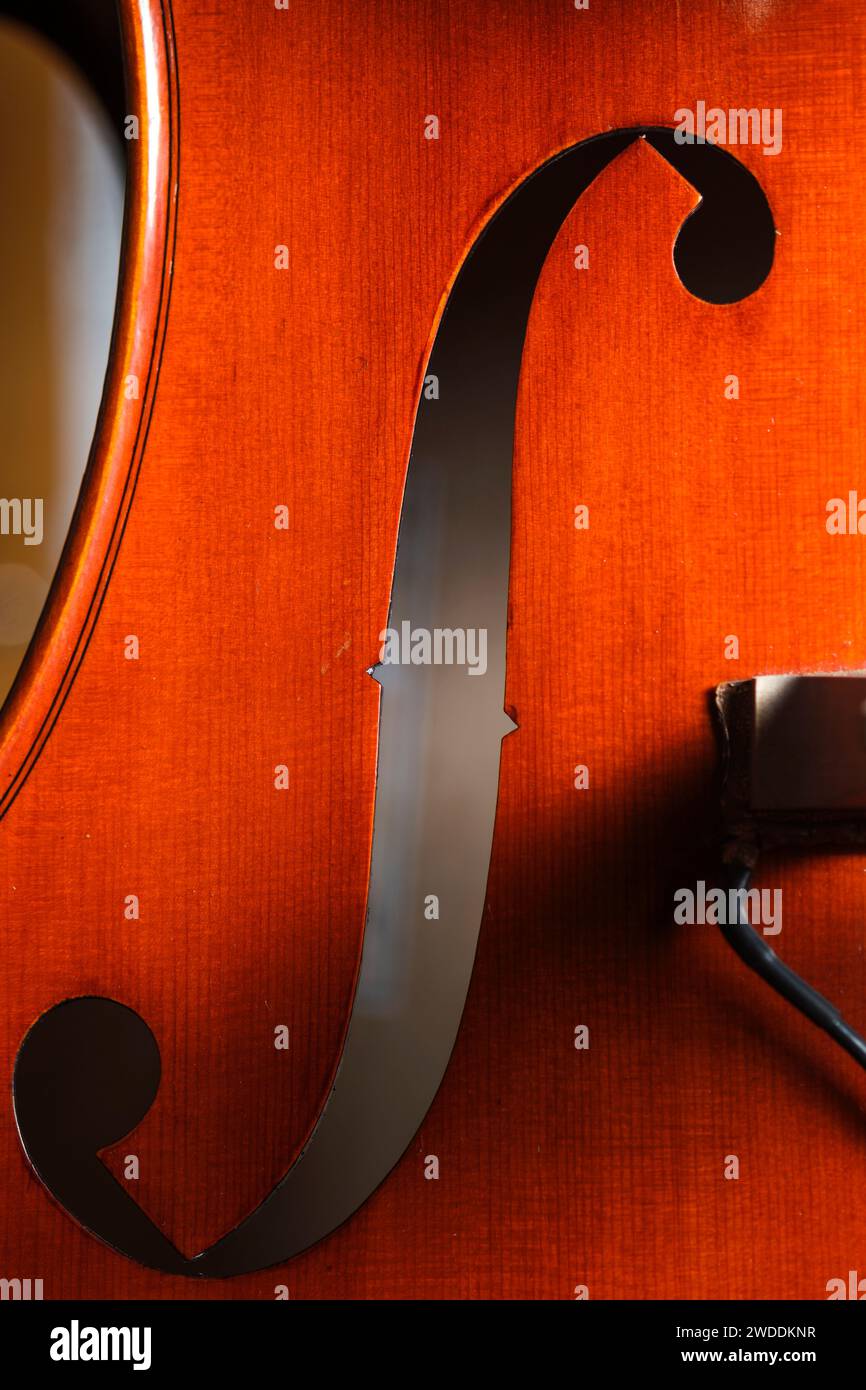Detail of Double bass. Stock Photo