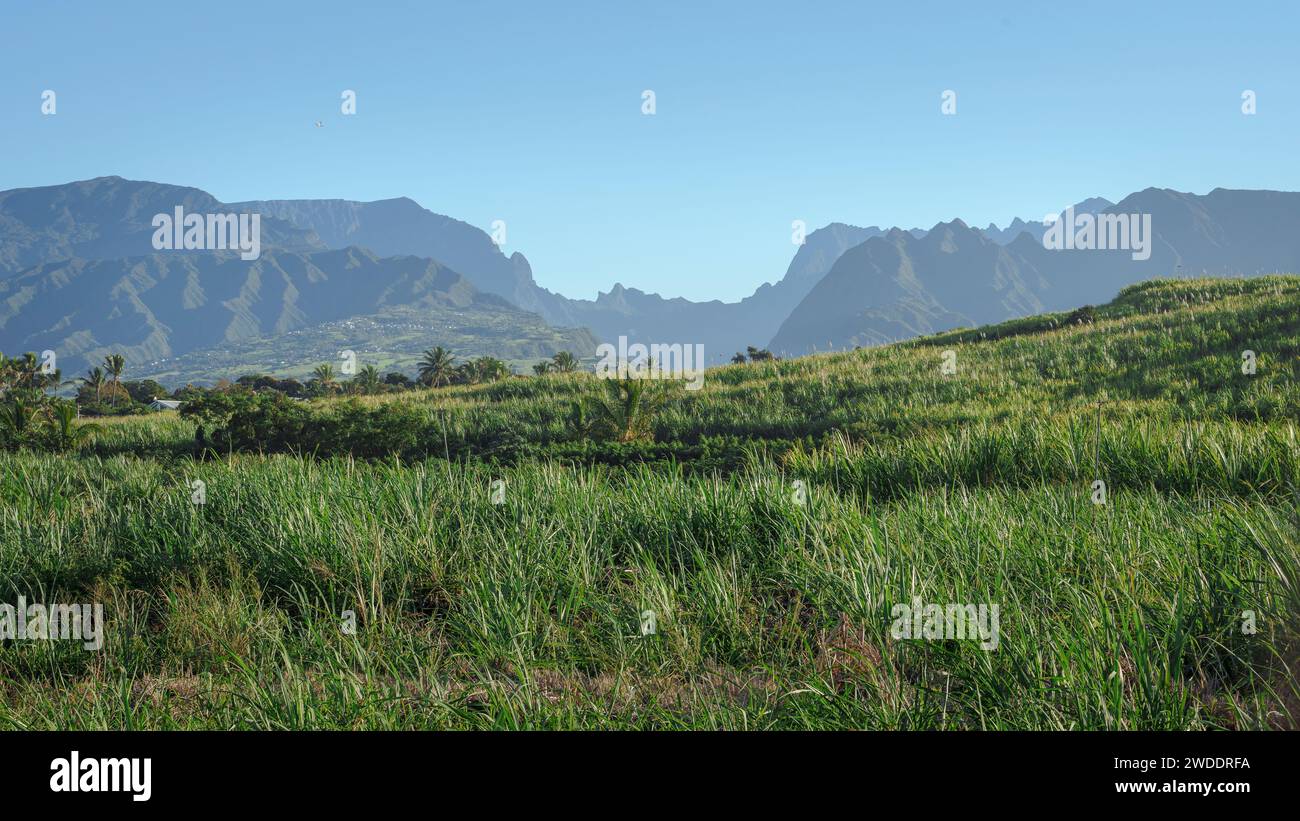 A view of the mountains of the Cirque de Cilaos, in the south of Réunion Island, with a clear blue sky. In the foreground is a field of sugar cane. Stock Photo