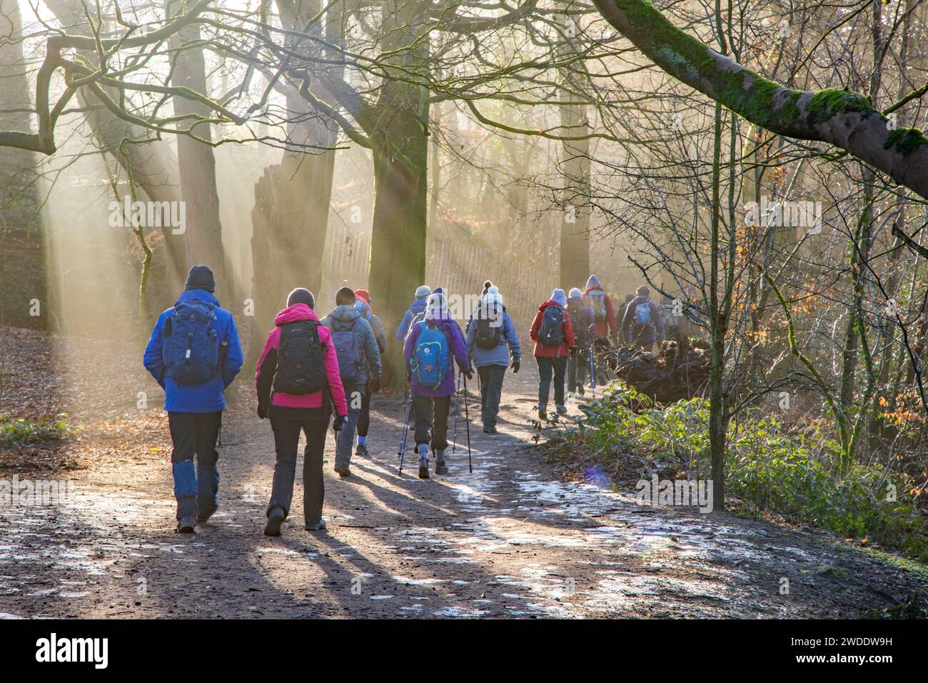 Elderly retired OAP members of a U3A walking group  keeping fit and active on a winter walk around Styal country park Cheshire England Stock Photo