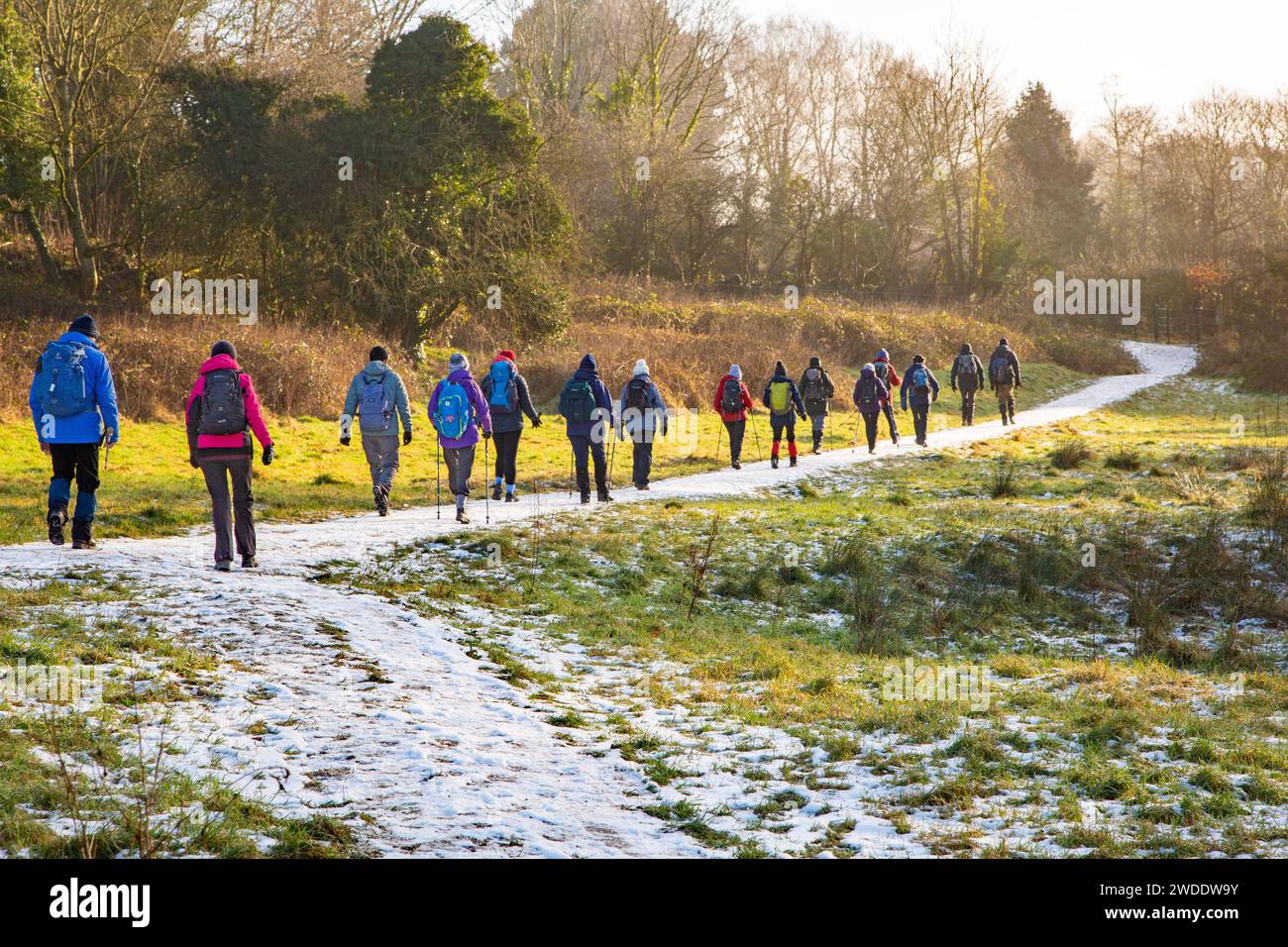 Elderly retired OAP members of a U3A walking group  keeping fit and active on a winter walk around Styal country park Cheshire England Stock Photo