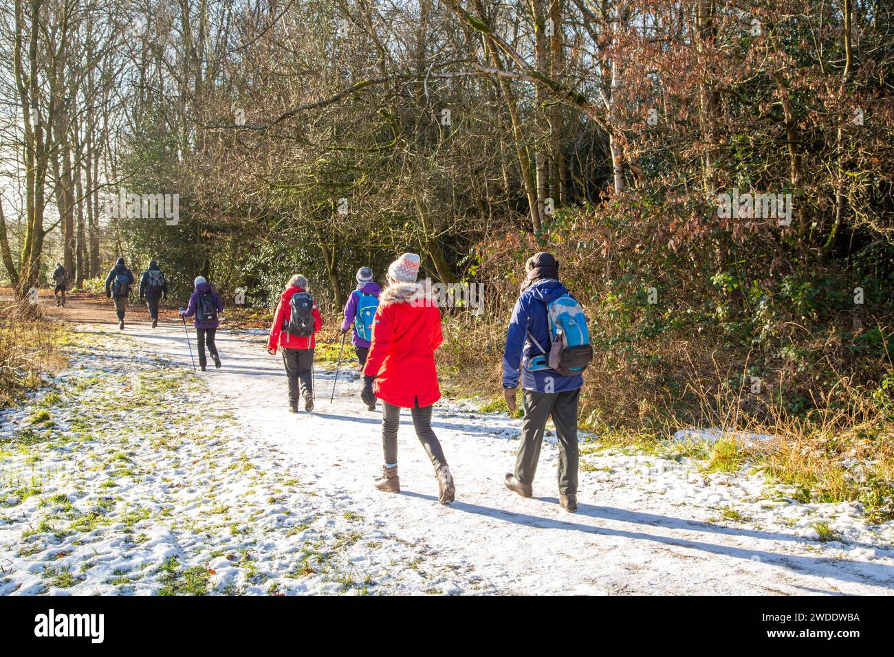 Elderly retired OAP members of a U3A walking group  keeping fit and active on a winter walk around Styal country park Cheshire England Stock Photo