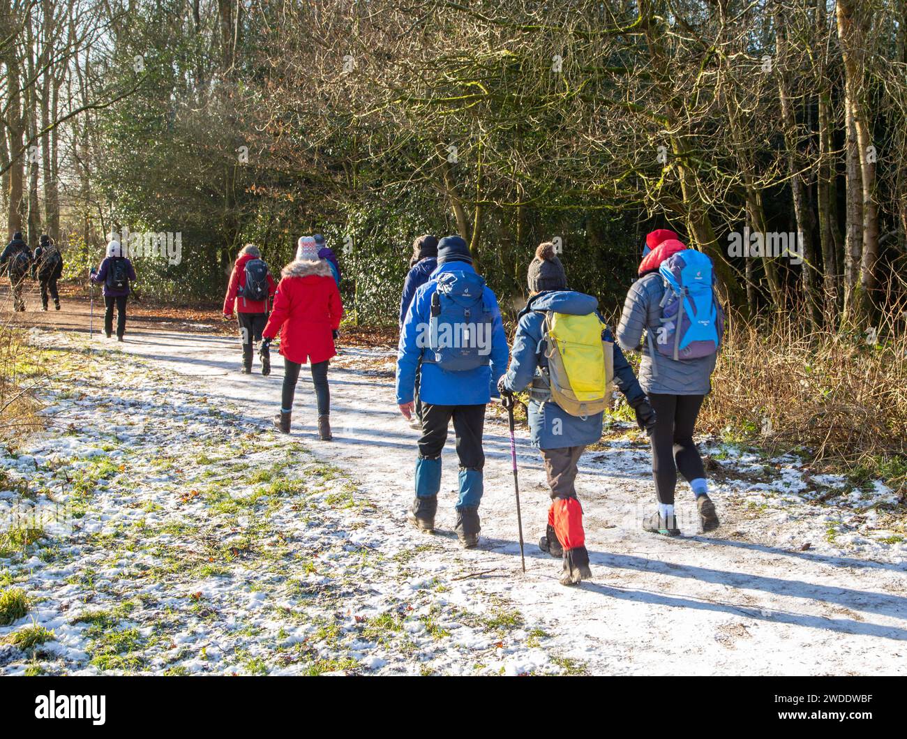 Elderly retired OAP members of a U3A walking group  keeping fit and active on a winter walk around Lindow common country park  Wilmslow  Cheshire Stock Photo