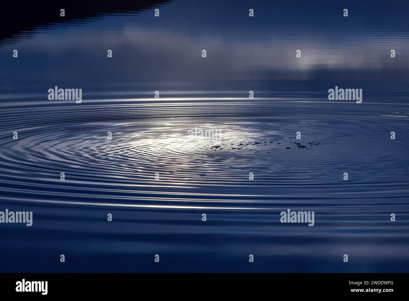 Water ripple on a still loch in winter. Loch Garten, Highlands, Scotland Stock Photo