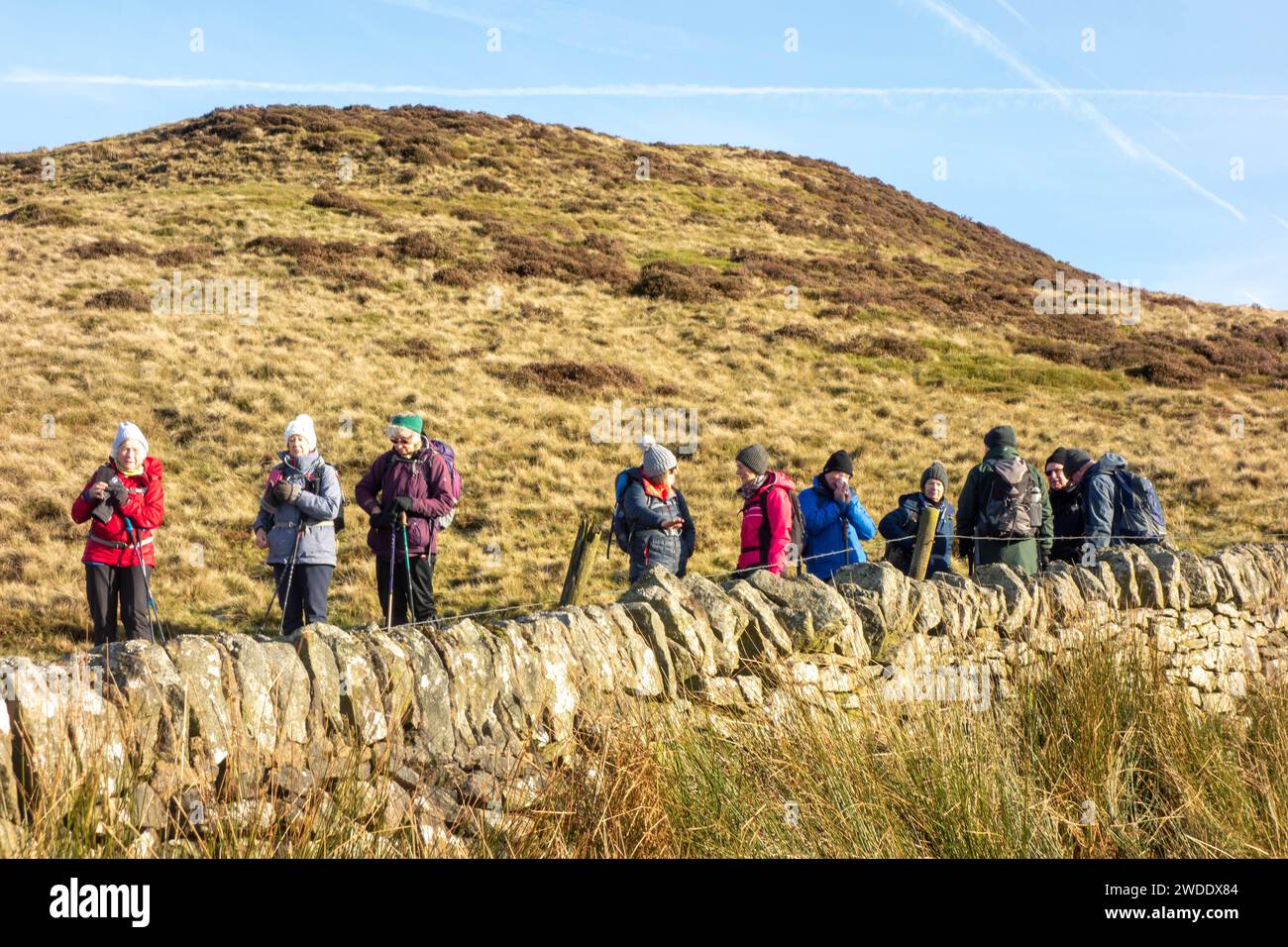 Members of the Sandbach U3A long walking group enjoying rambling in the Peak District hills above the Derbyshire town Hayfield England on Kinder Low Stock Photo