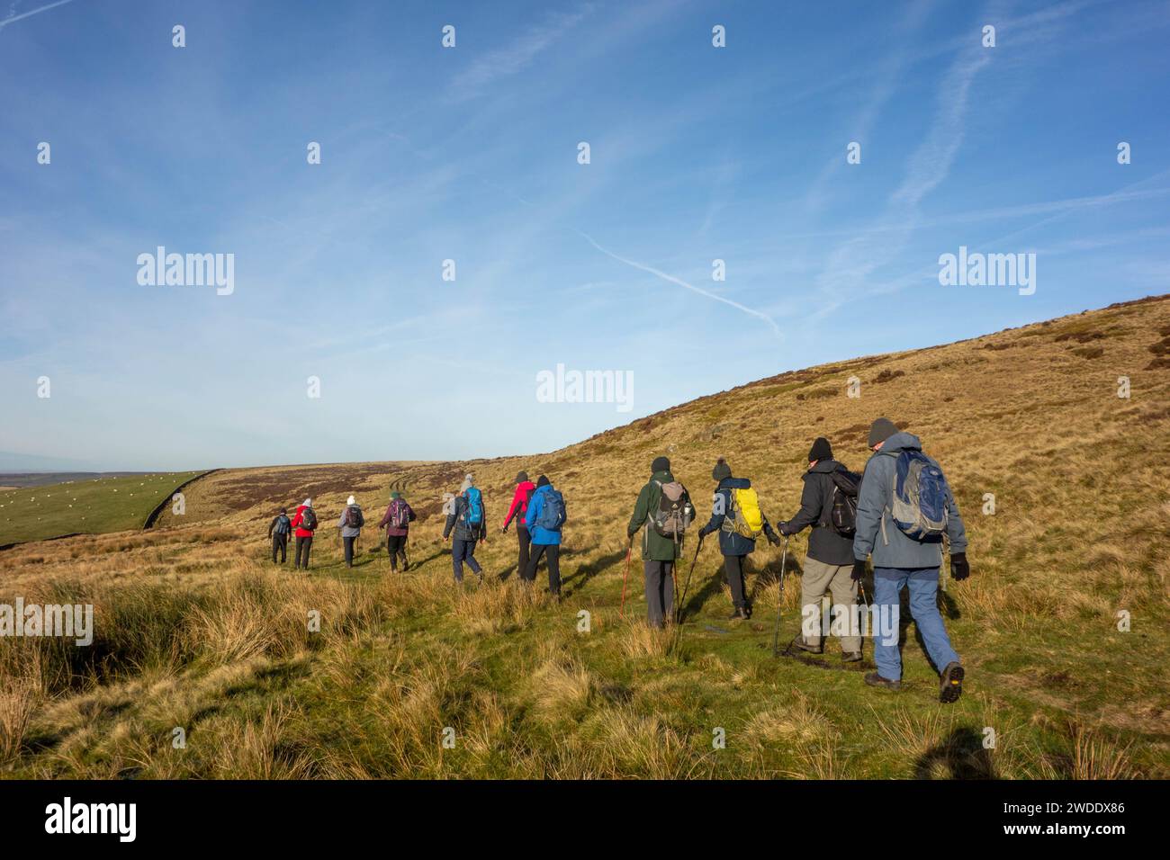 Members of the Sandbach U3A long walking group enjoying rambling in the Peak District hills above the Derbyshire town Hayfield England on Kinder Low Stock Photo