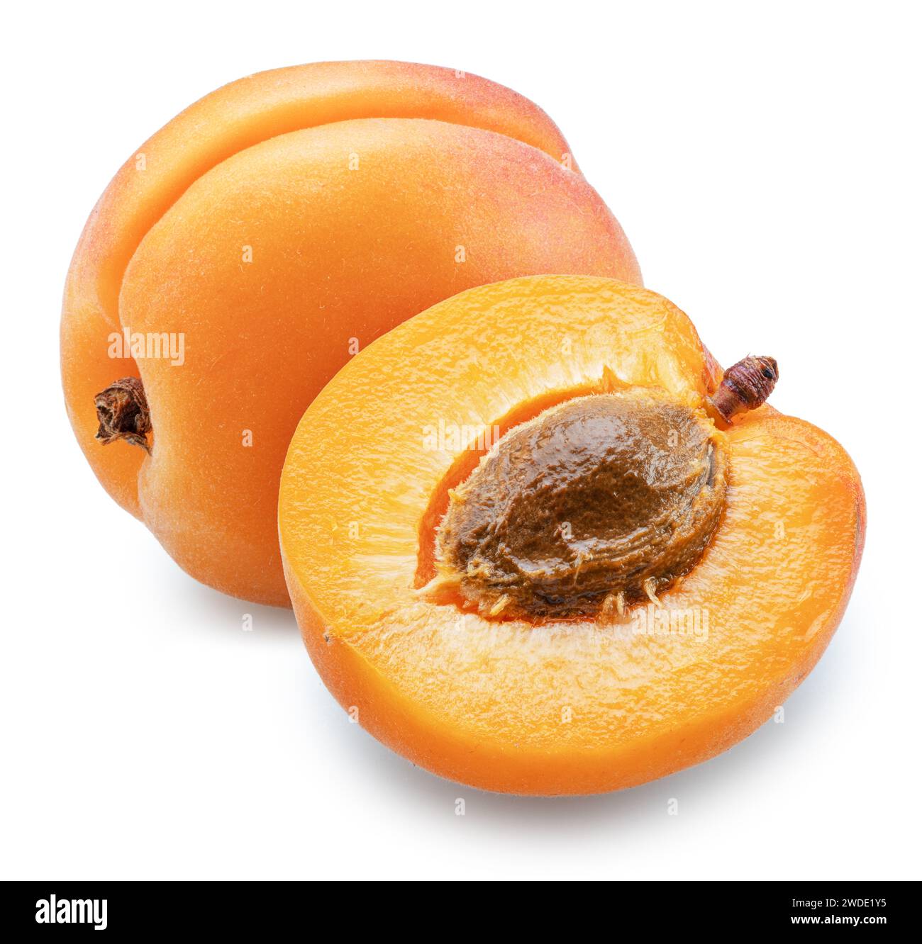 Ripe apricot and apricot half on white background. File contains ...