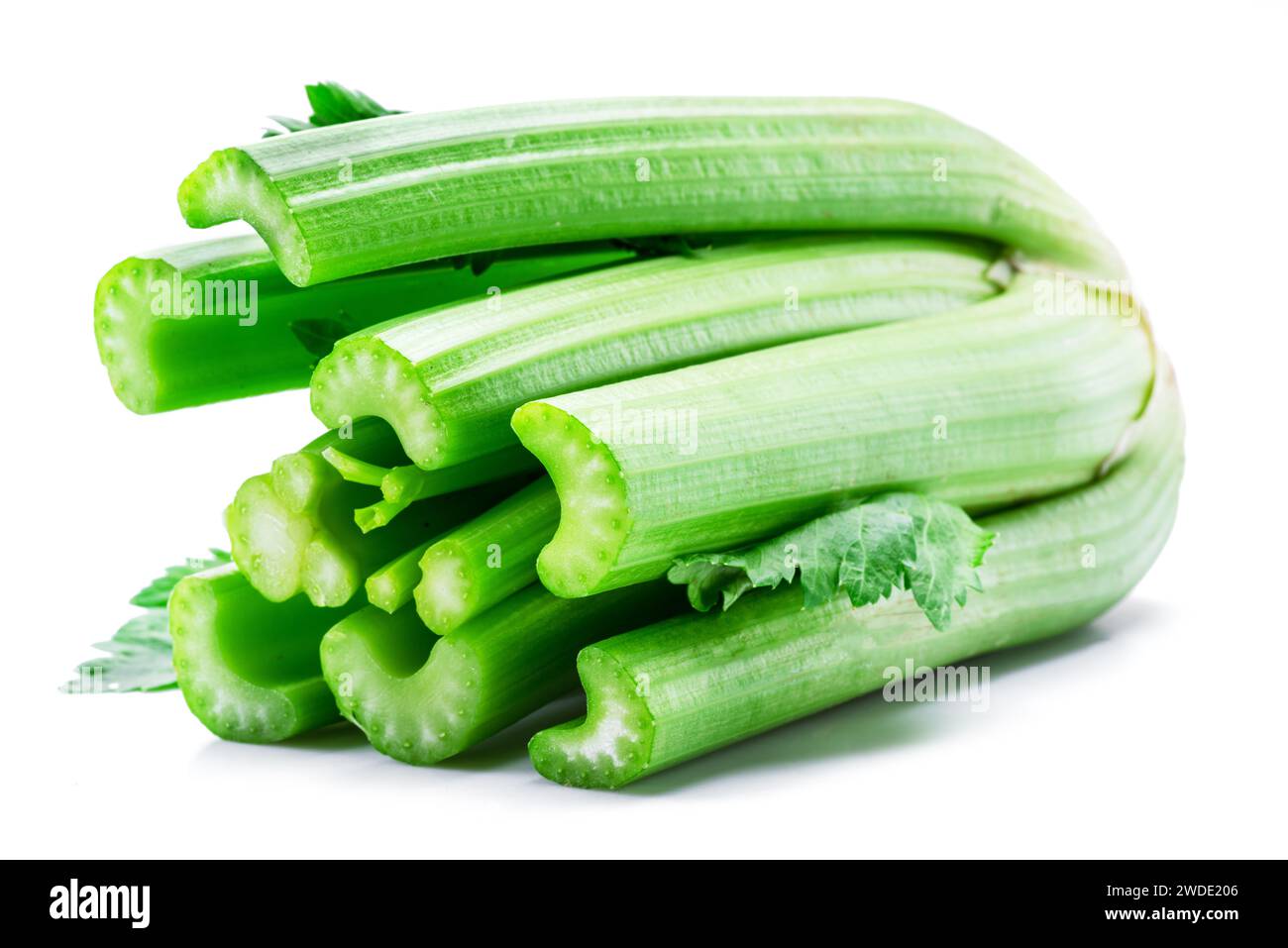 Fresh celery stalk isolated on white background. Stock Photo