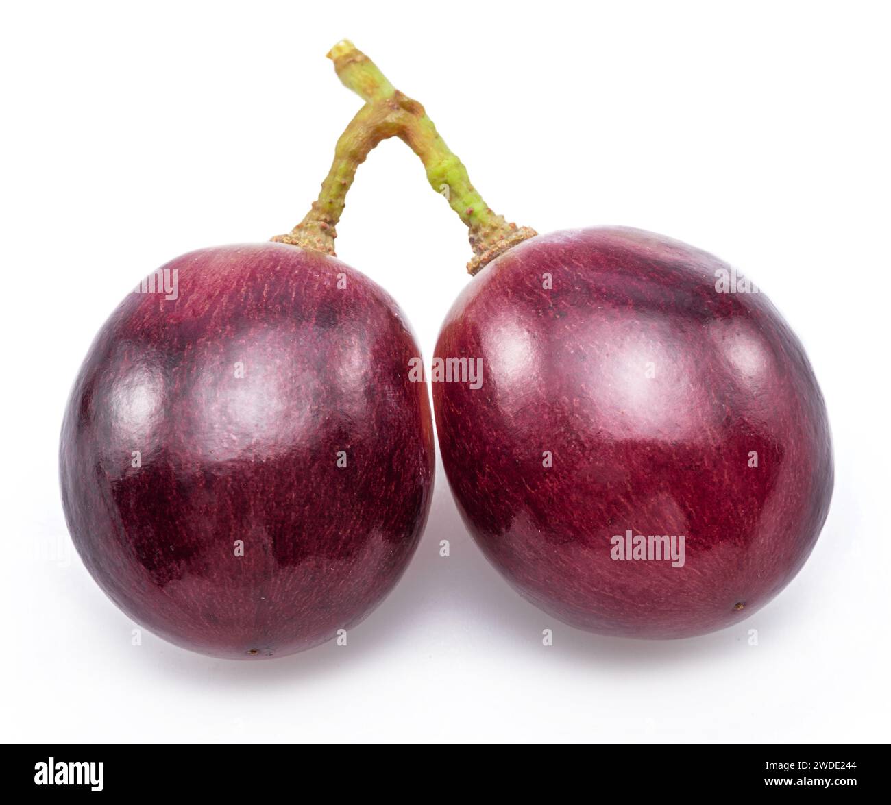 Two red table grape berries isolated on white background Stock Photo