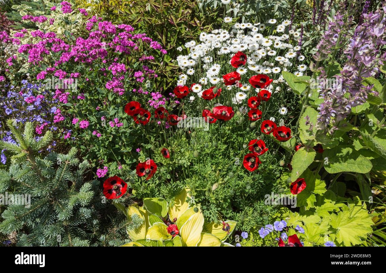 Creating a border of pots hires stock photography and images Alamy