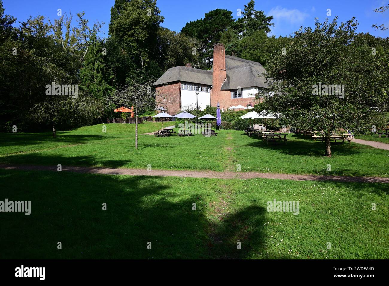 The drum inn at cockington village hires stock photography and images