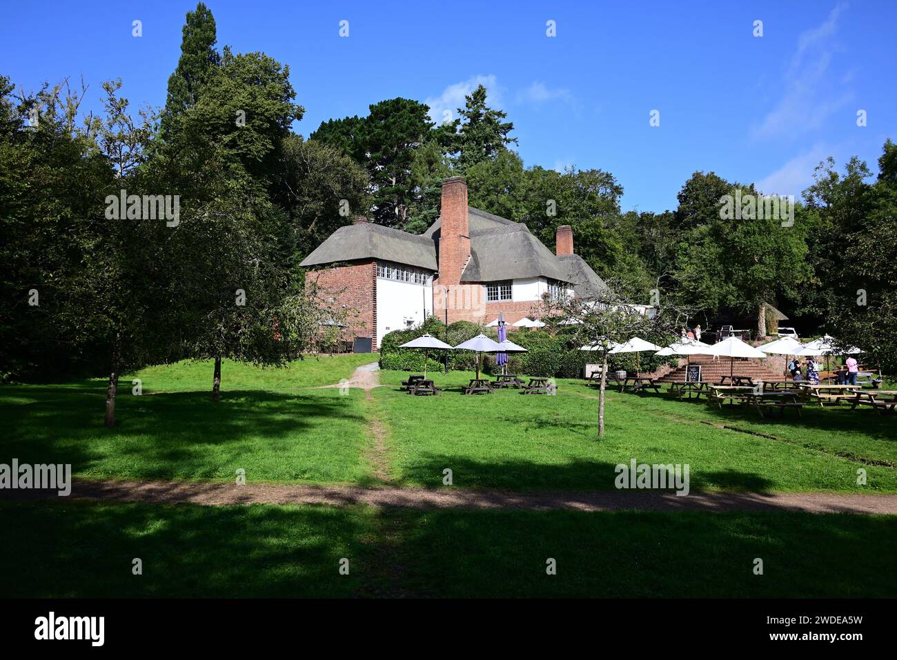 The Drum Inn public house in Cockington village, Torquay, South Devon Stock Photo Alamy