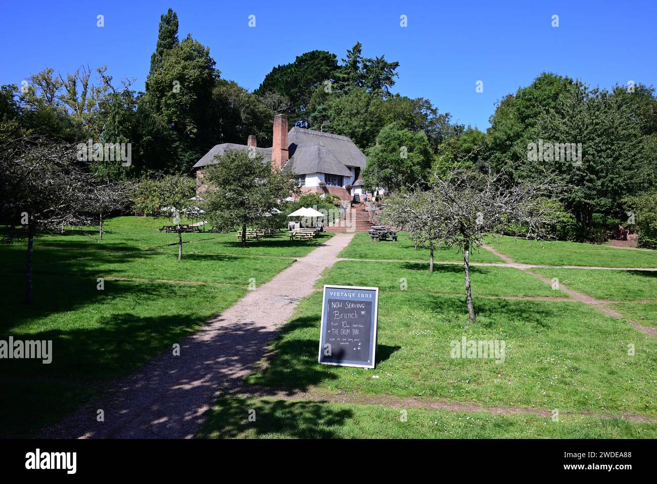 The Drum Inn public house in Cockington village, Torquay, South Devon Stock Photo Alamy