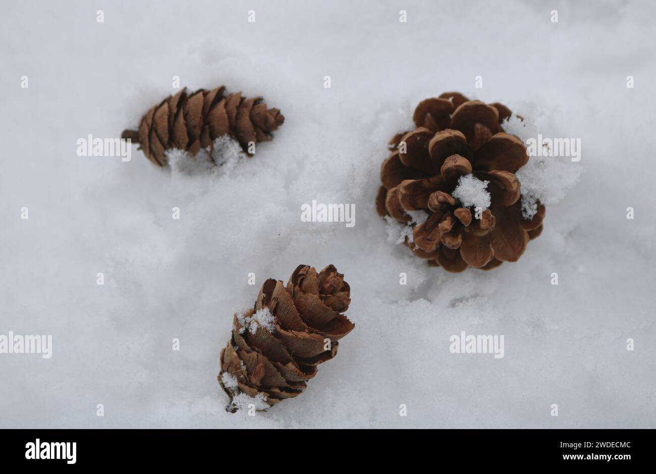 Snow wallpapers hi-res stock photography and images - Alamy