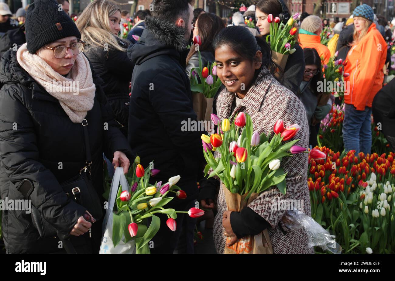 Thousands of people attend National Tulip Day at the Museum Square near Rijskmuseum on January