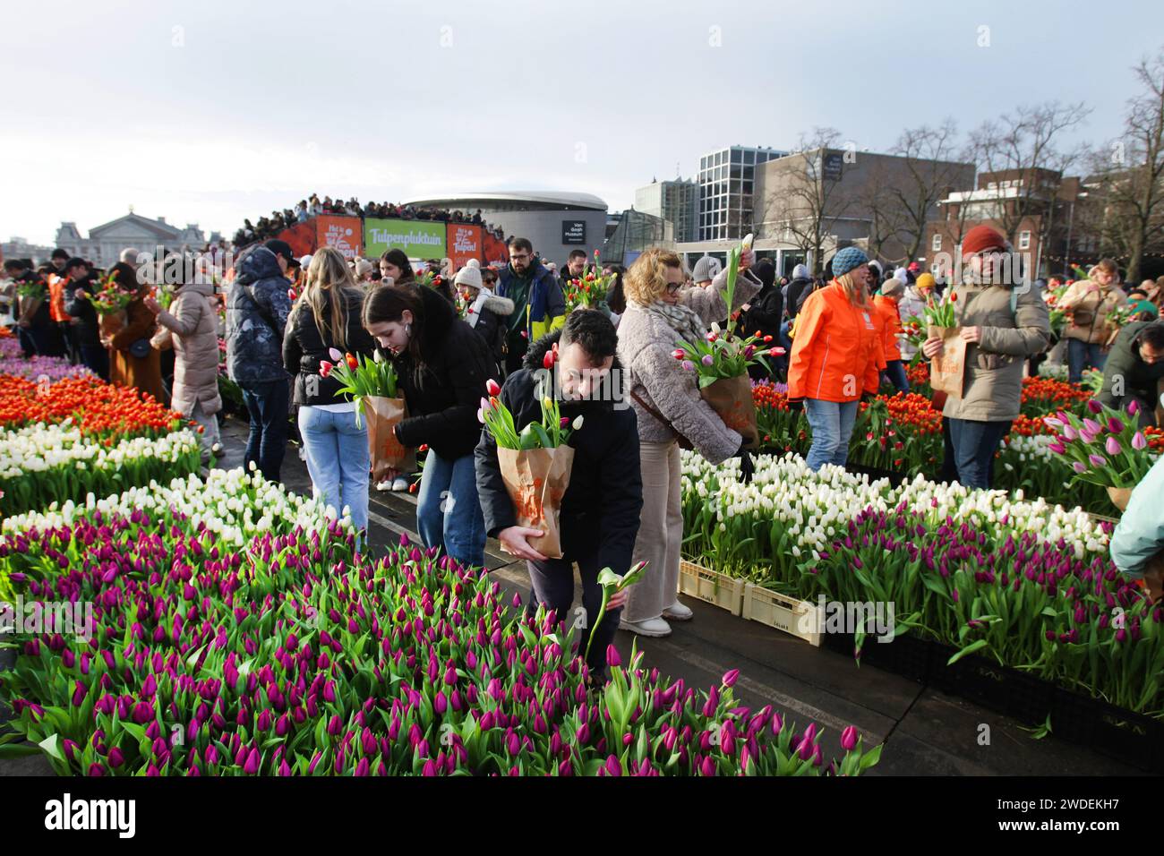 Thousands of people attend National Tulip Day at the Museum Square near
