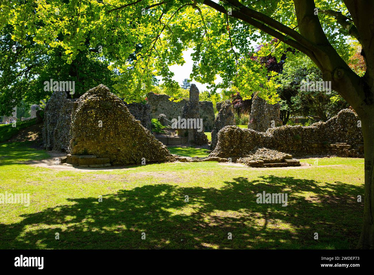The ruins of Bury St Edmunds Abbey within the Abbey Park at the