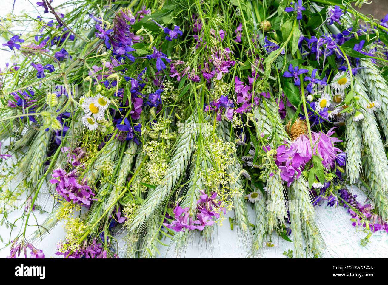 A bouquet of spikelets and wild flowers Stock Photo