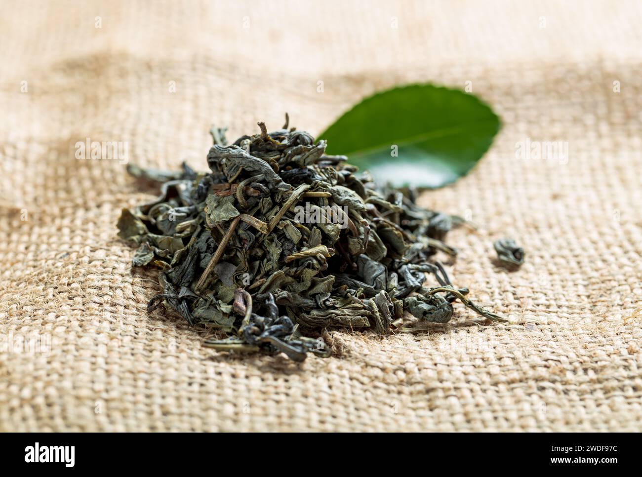 green tea leaves  on a canvas; dried Chinese green tea long leaves; small bunch.JPG Stock Photo