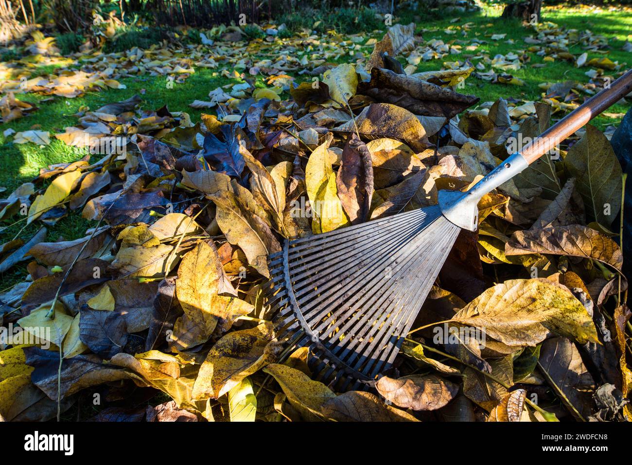 Rake And Scrape Hi Res Stock Photography And Images Alamy