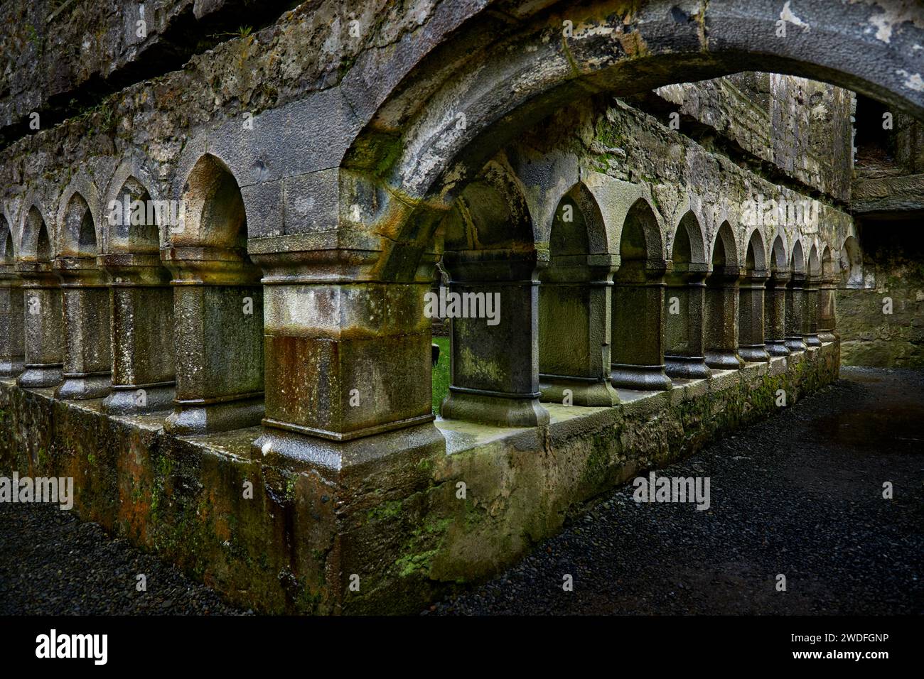 The cloister at Ross Errilly Friary, County Galway, Ireland Stock Photo