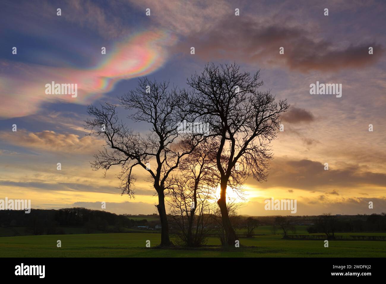 Landscape image with rare Nacreous clouds at sunset near Ferryhill, County Durham England, UK. Stock Photo