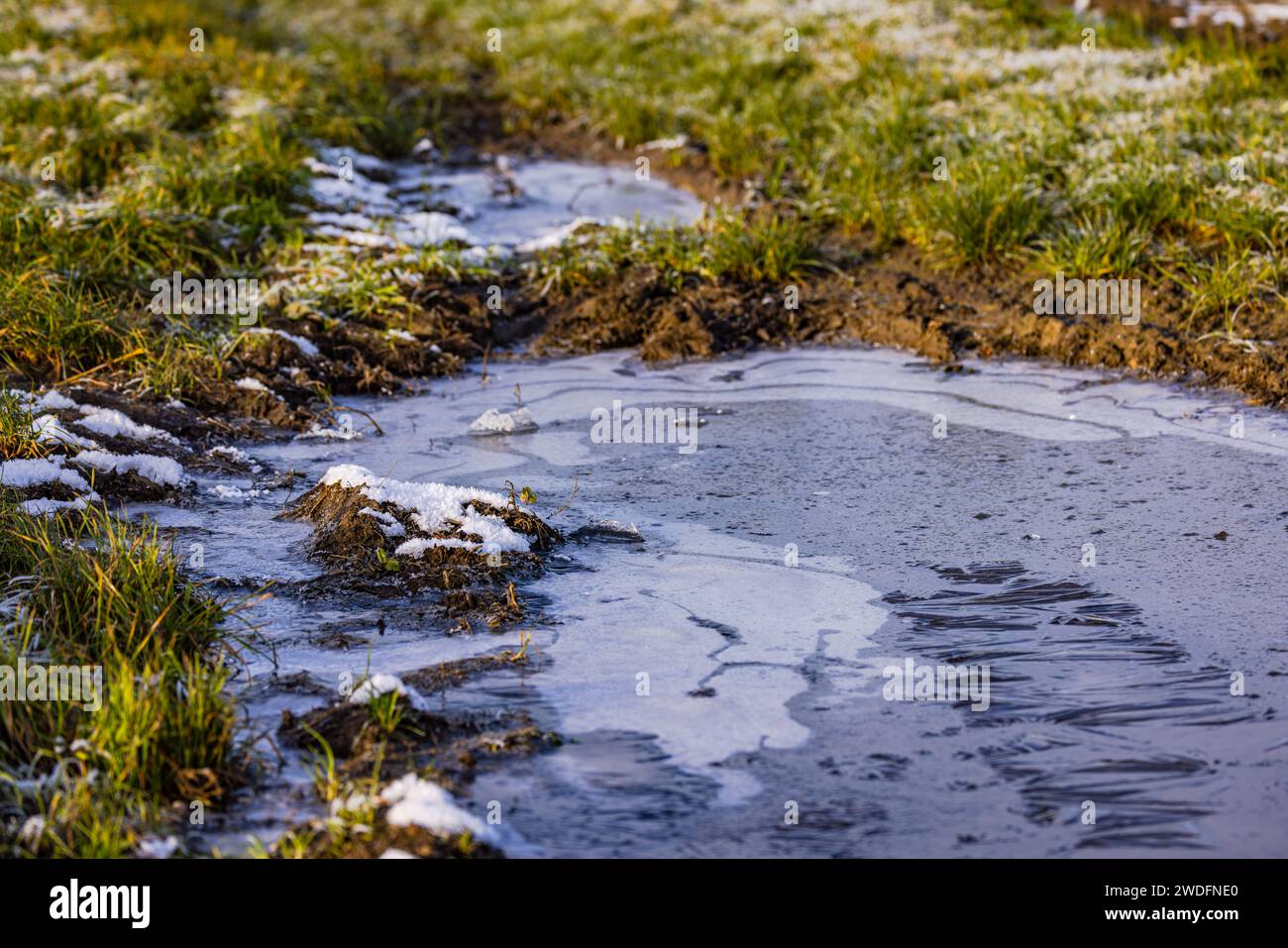 Field path with water, ice and ice crystals in a puddle in winter Stock ...