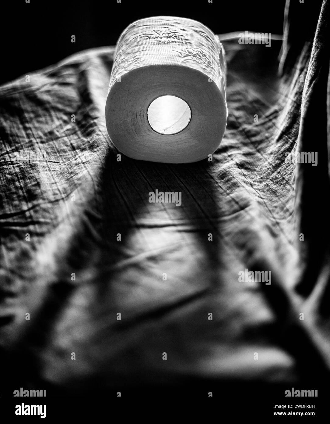 backlit-toilet-paper-roll-in-villajoyosa-stock-photo-alamy