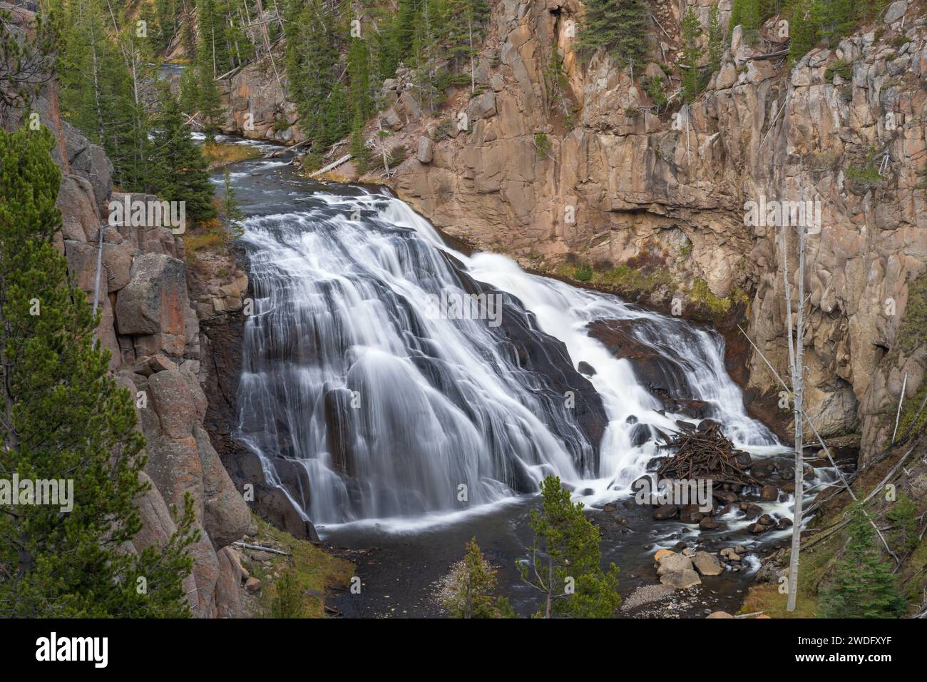 Gibbon Falls in Yellowstone National Park, Wyoming, USA. Stock Photo